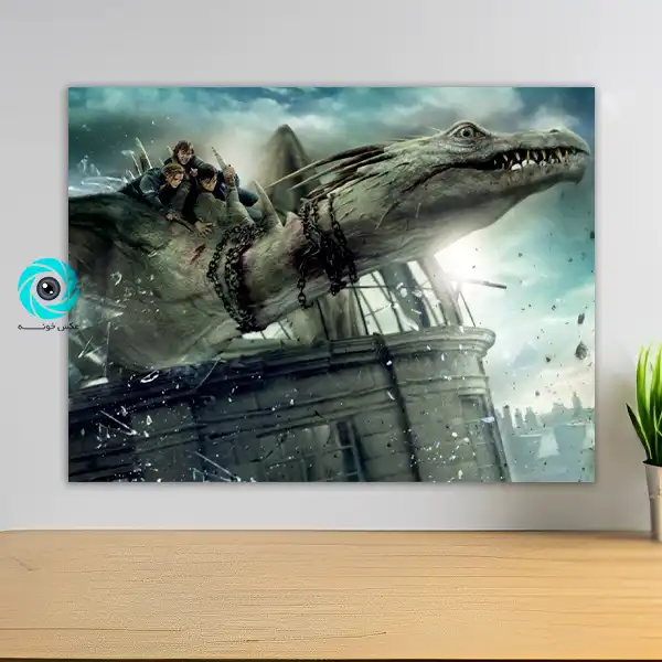 شاسی هری پاتر طرح یازده